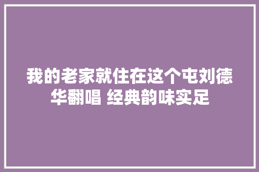 我的老家就住在这个屯刘德华翻唱 经典韵味实足