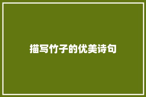 描写竹子的优美诗句