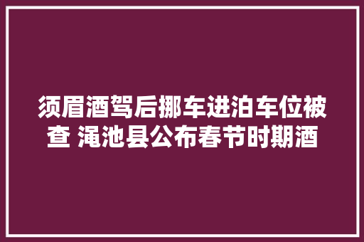 须眉酒驾后挪车进泊车位被查 渑池县公布春节时期酒驾案例