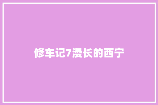 修车记7漫长的西宁 汽车知识