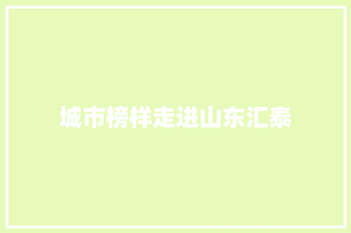 城市榜样走进山东汇泰