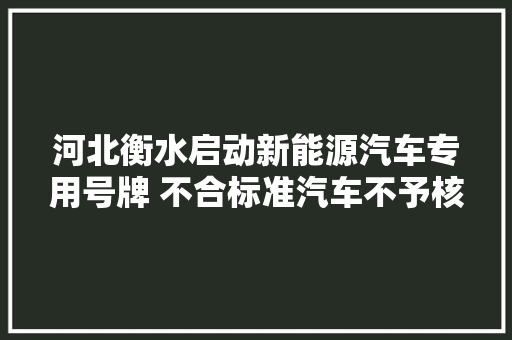 河北衡水启动新能源汽车专用号牌 不合标准汽车不予核发
