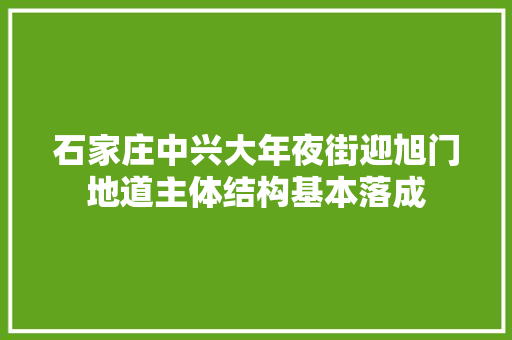 石家庄中兴大年夜街迎旭门地道主体结构基本落成