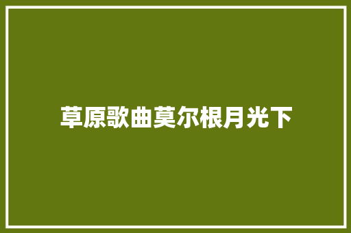 草原歌曲莫尔根月光下