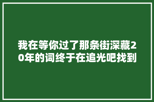 我在等你过了那条街深藏20年的词终于在追光吧找到了原唱