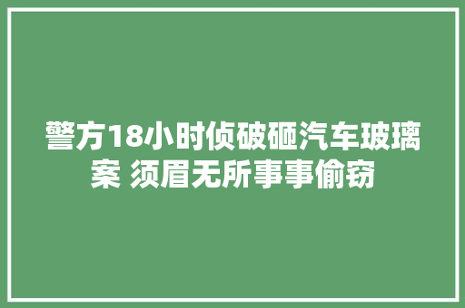 警方18小时侦破砸汽车玻璃案 须眉无所事事偷窃