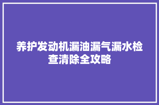 养护发动机漏油漏气漏水检查清除全攻略