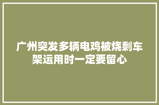 广州突发多辆电鸡被烧剩车架运用时一定要留心