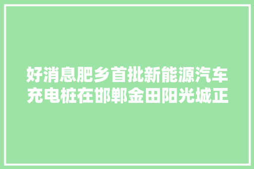 好消息肥乡首批新能源汽车充电桩在邯郸金田阳光城正式投入运用