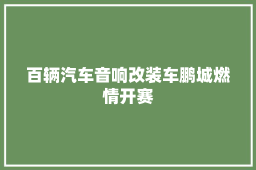 百辆汽车音响改装车鹏城燃情开赛