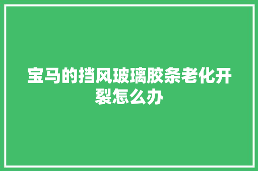 宝马的挡风玻璃胶条老化开裂怎么办