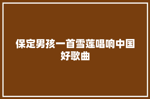 保定男孩一首雪莲唱响中国好歌曲
