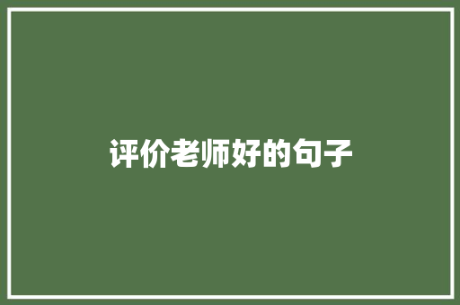评价老师好的句子