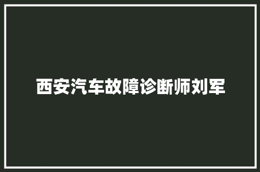 西安汽车故障诊断师刘军