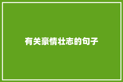有关豪情壮志的句子