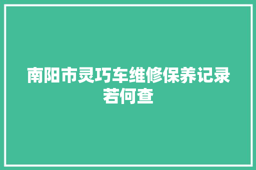 南阳市灵巧车维修保养记录若何查