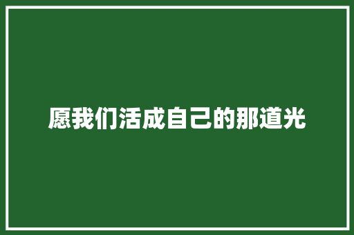 愿我们活成自己的那道光