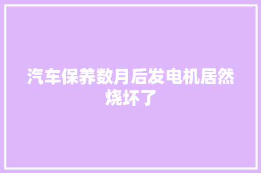 汽车保养数月后发电机居然烧坏了