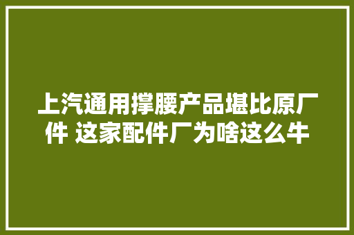 上汽通用撑腰产品堪比原厂件 这家配件厂为啥这么牛