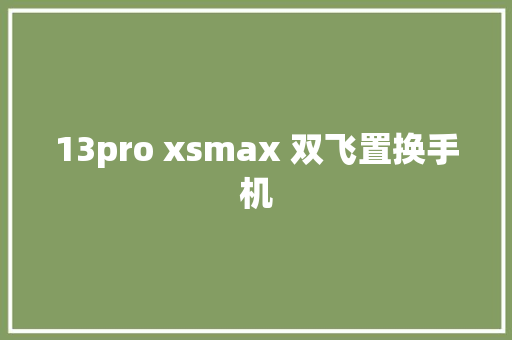 13pro xsmax 双飞置换手机