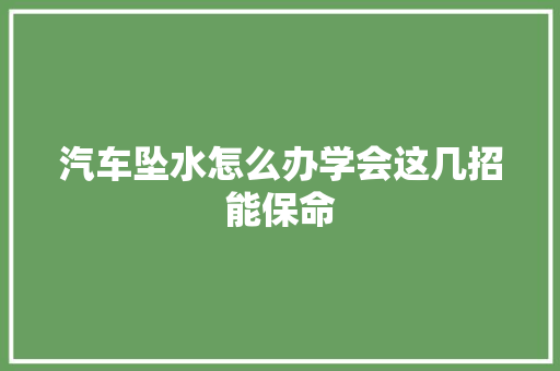 汽车坠水怎么办学会这几招能保命