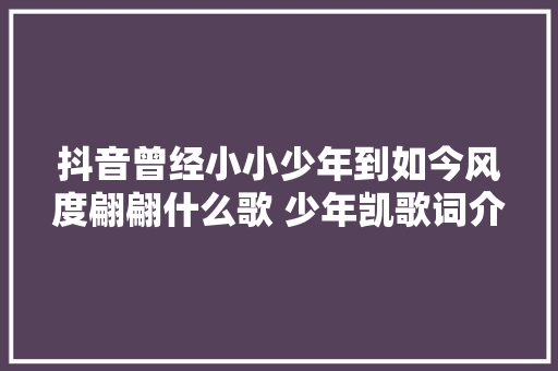 抖音曾经小小少年到如今风度翩翩什么歌 少年凯歌词介绍