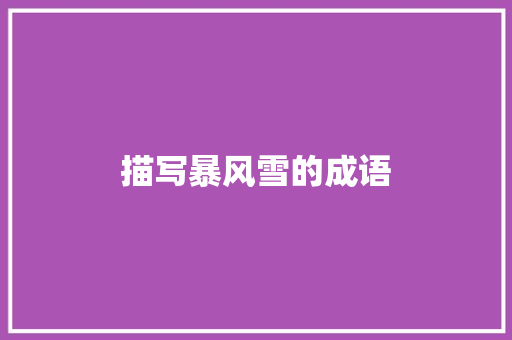 描写暴风雪的成语