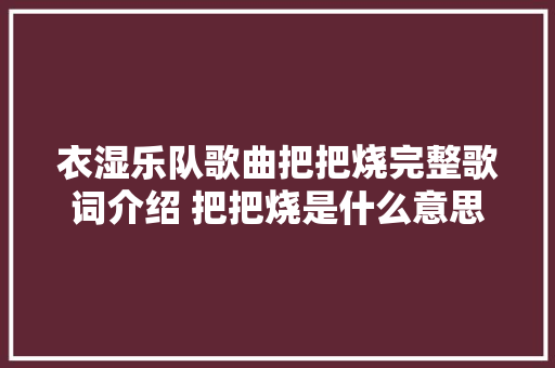 衣湿乐队歌曲把把烧完整歌词介绍 把把烧是什么意思