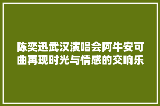 陈奕迅武汉演唱会阿牛安可曲再现时光与情感的交响乐章 休闲娱乐