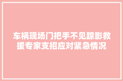 车祸现场门把手不见踪影救援专家支招应对紧急情况