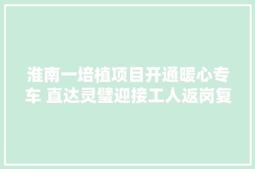 淮南一培植项目开通暖心专车 直达灵璧迎接工人返岗复工