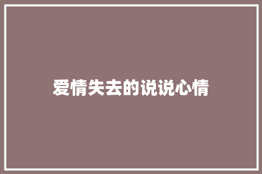 爱情失去的说说心情