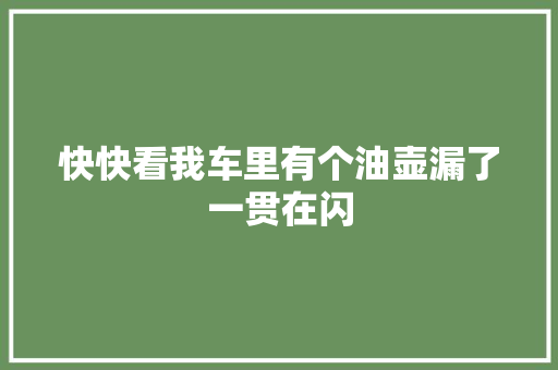快快看我车里有个油壶漏了一贯在闪