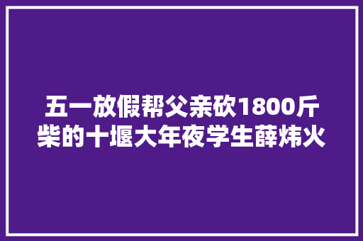 五一放假帮父亲砍1800斤柴的十堰大年夜学生薛炜火了网友直呼好男儿