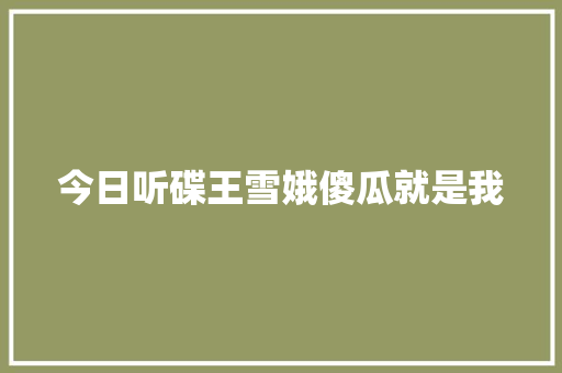 今日听碟王雪娥傻瓜就是我