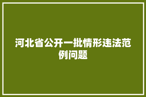 河北省公开一批情形违法范例问题