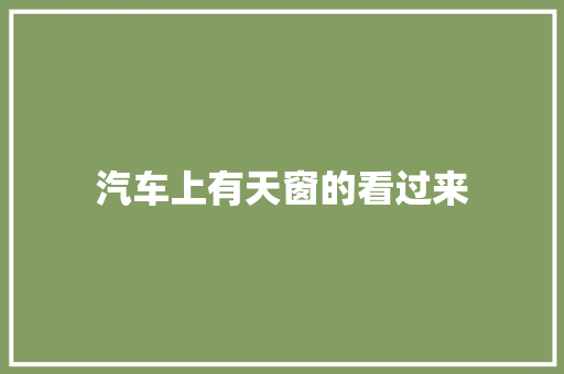 汽车上有天窗的看过来