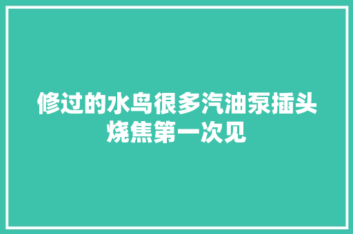 修过的水鸟很多汽油泵插头烧焦第一次见