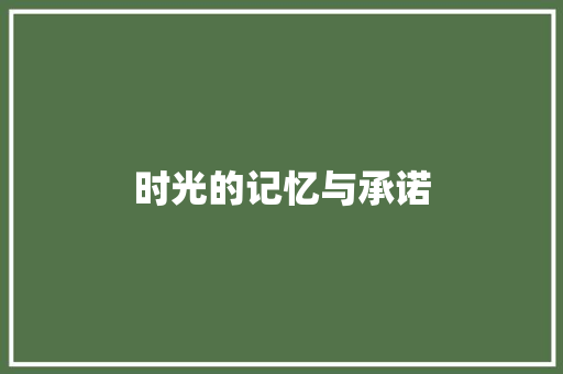时光的记忆与承诺 休闲娱乐