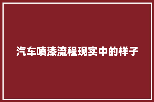 汽车喷漆流程现实中的样子
