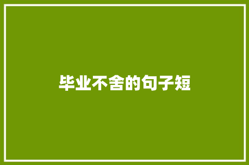 毕业不舍的句子短