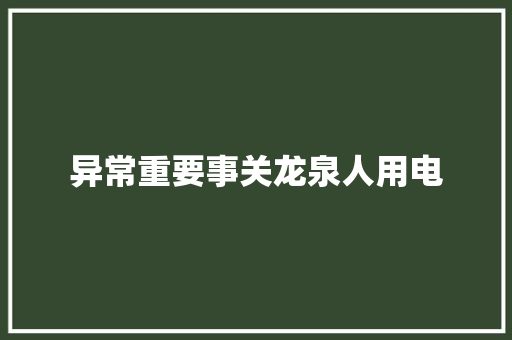 异常重要事关龙泉人用电