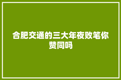 合肥交通的三大年夜败笔你赞同吗