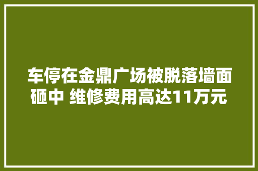 车停在金鼎广场被脱落墙面砸中 维修费用高达11万元