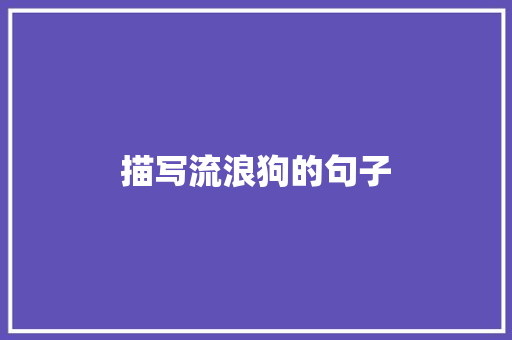 描写流浪狗的句子