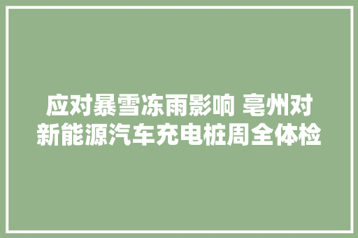 应对暴雪冻雨影响 亳州对新能源汽车充电桩周全体检
