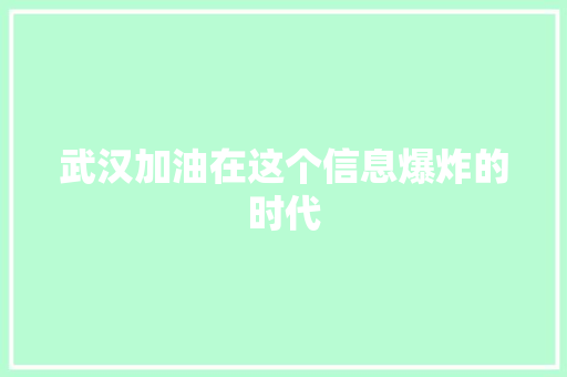 武汉加油在这个信息爆炸的时代