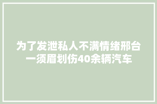 为了发泄私人不满情绪邢台一须眉划伤40余辆汽车