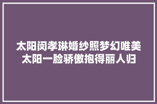 太阳闵孝琳婚纱照梦幻唯美太阳一脸骄傲抱得丽人归