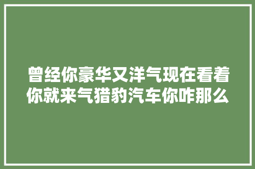 曾经你豪华又洋气现在看着你就来气猎豹汽车你咋那么不争气